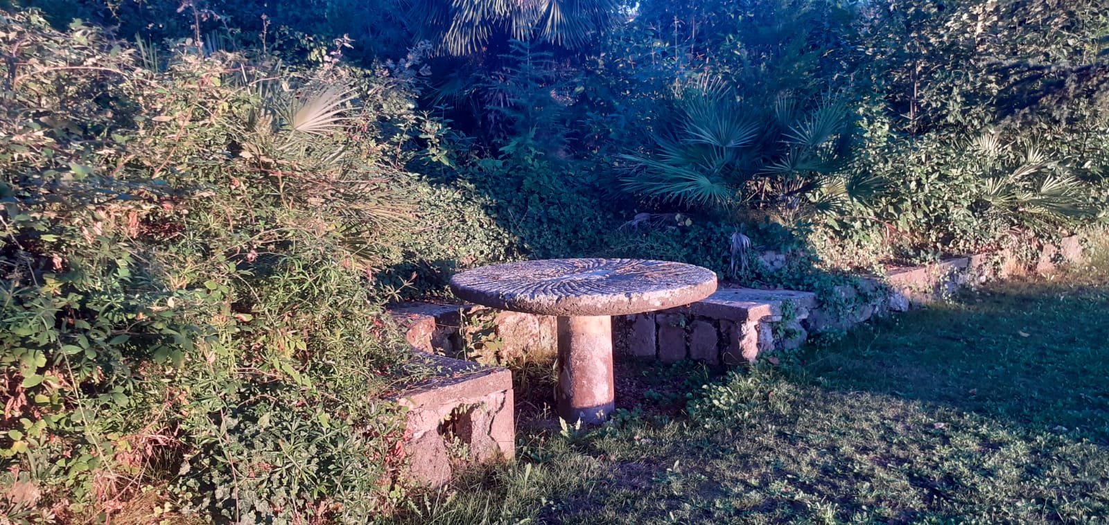 13ba66c0-29ed-4117-9a8b-6ccb2fd6de81