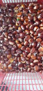 16e41531-df00-4653-b340-2ea653bb9ac6