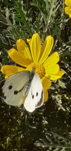 5e2c237d-801f-4456-9d16-c399eaa7e101