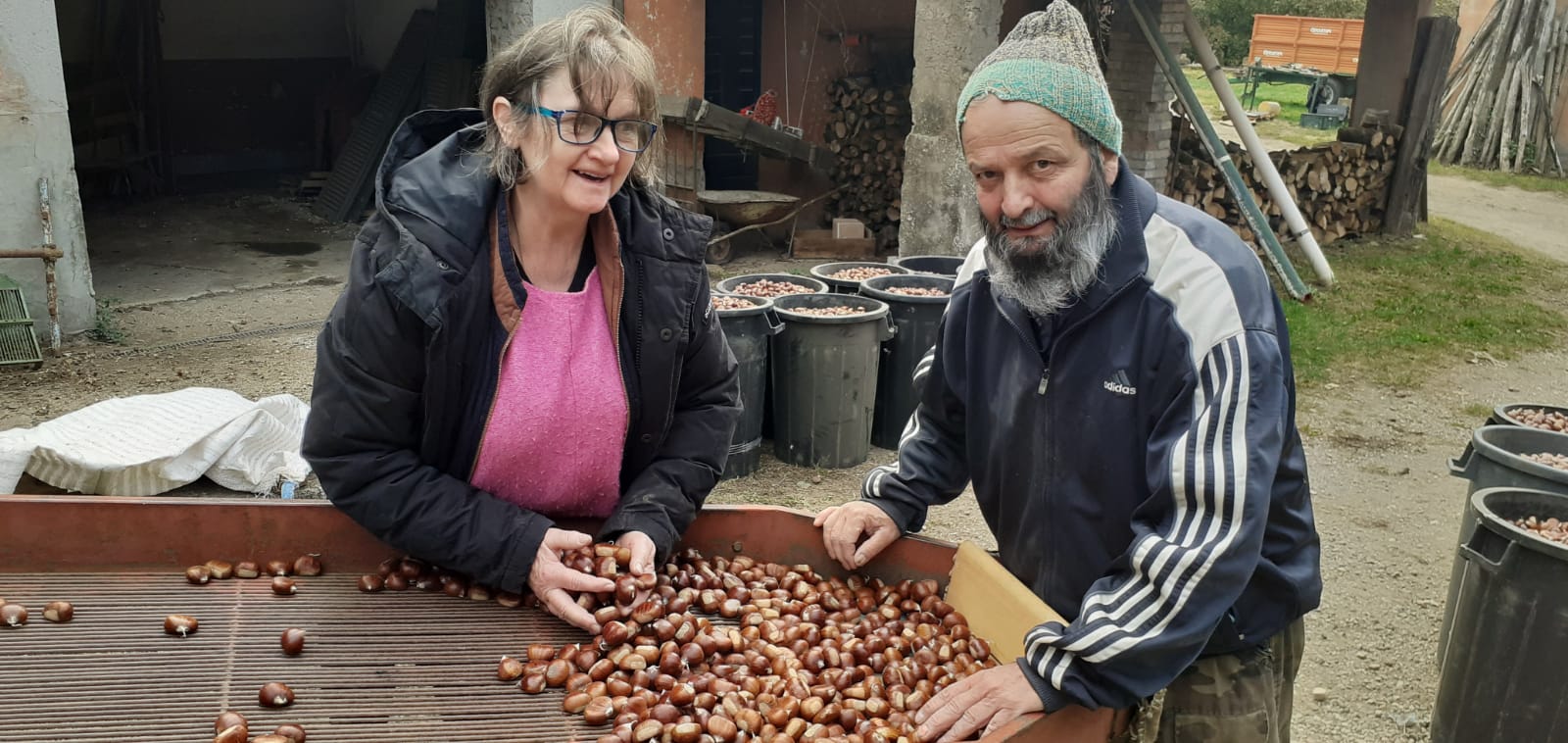 Raccolta delle castagne al Foyer