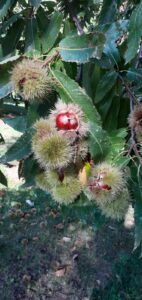 a9475b69-2390-4511-9d0d-b73a56cf45c4