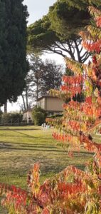 bcca7add-6868-4c06-85c4-961024ab78be