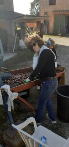 e81f5d29-33cf-4447-b2e3-787e454b85e4